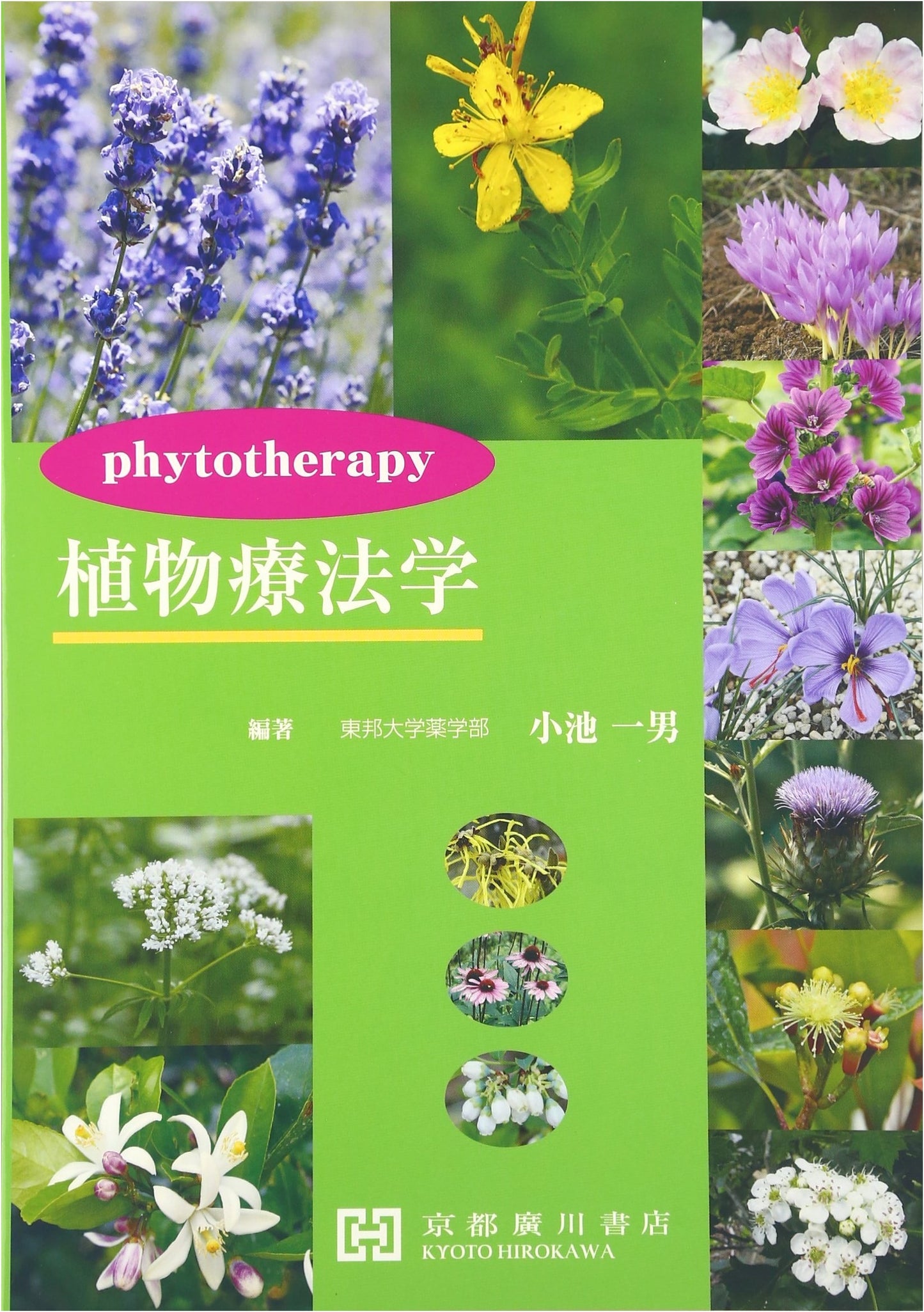 Phytotherapy: The Science of Herbal Medicine