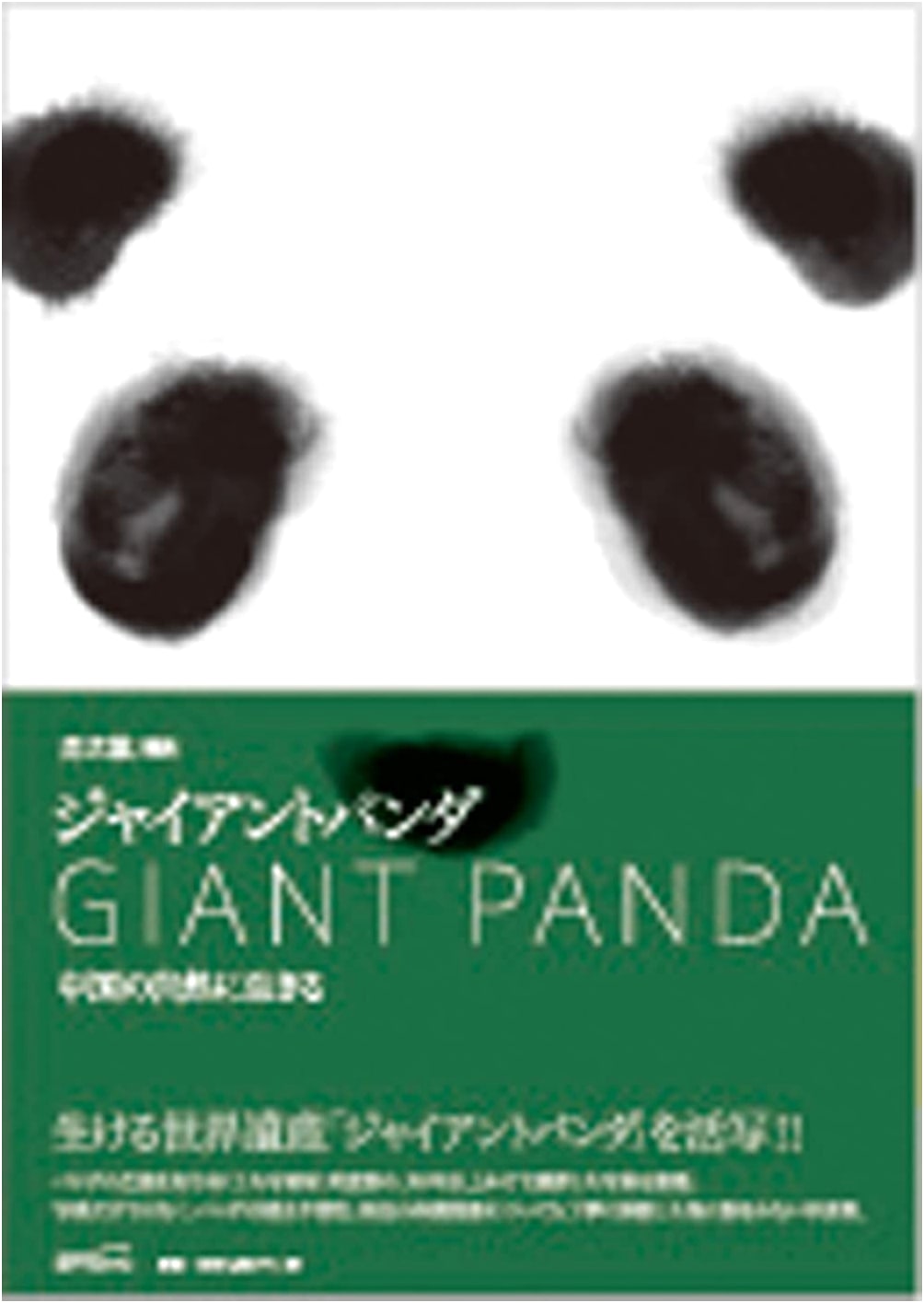Giant Panda: Living in China's Nature