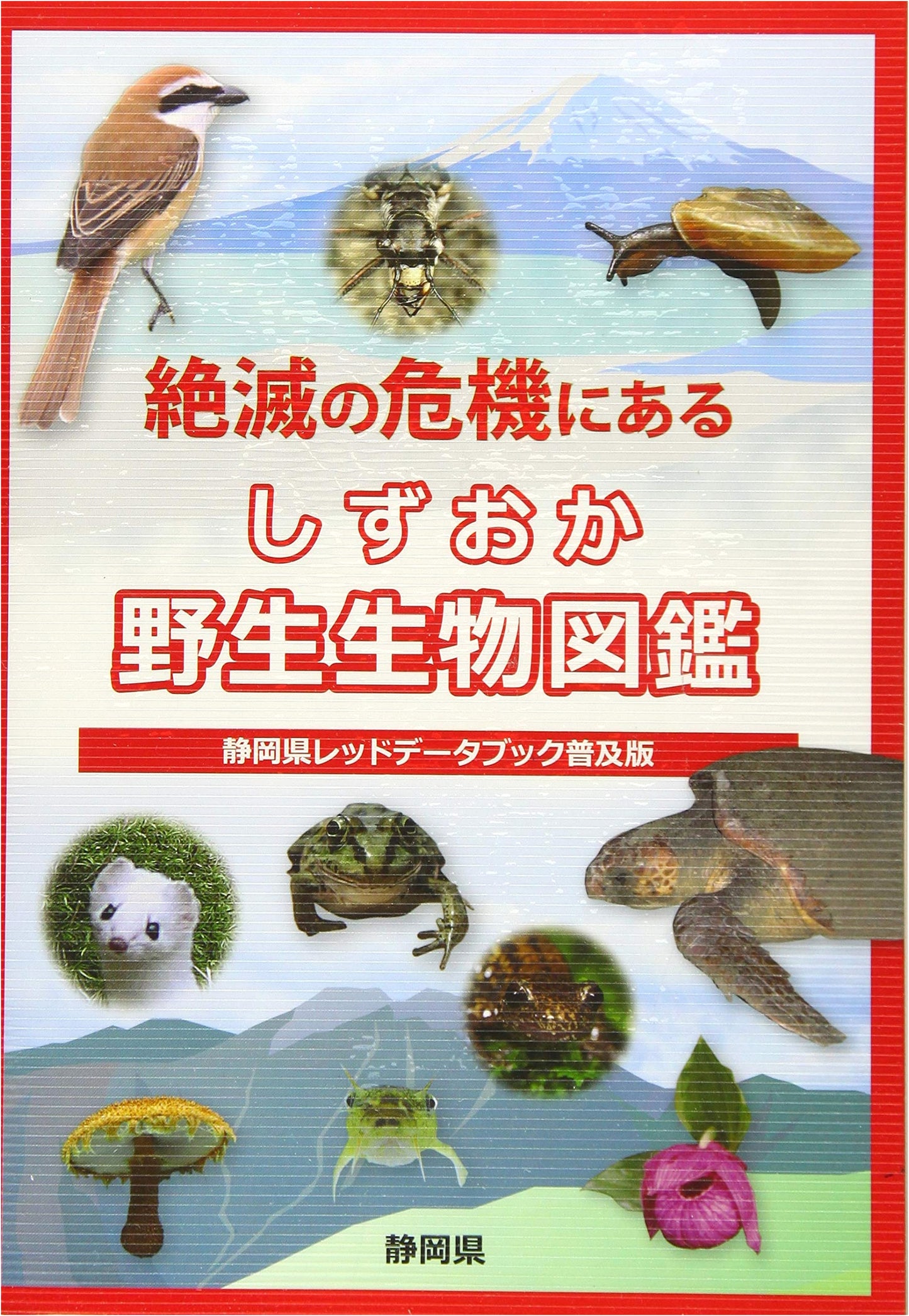 Illustrated Guide to Endangered Wildlife of Shizuoka