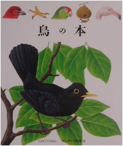 The Book of Birds: First Discoveries, Vol. 12