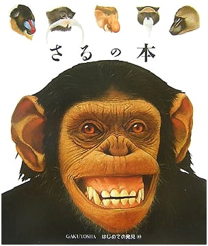 The Book of Monkeys (First Discoveries 49)