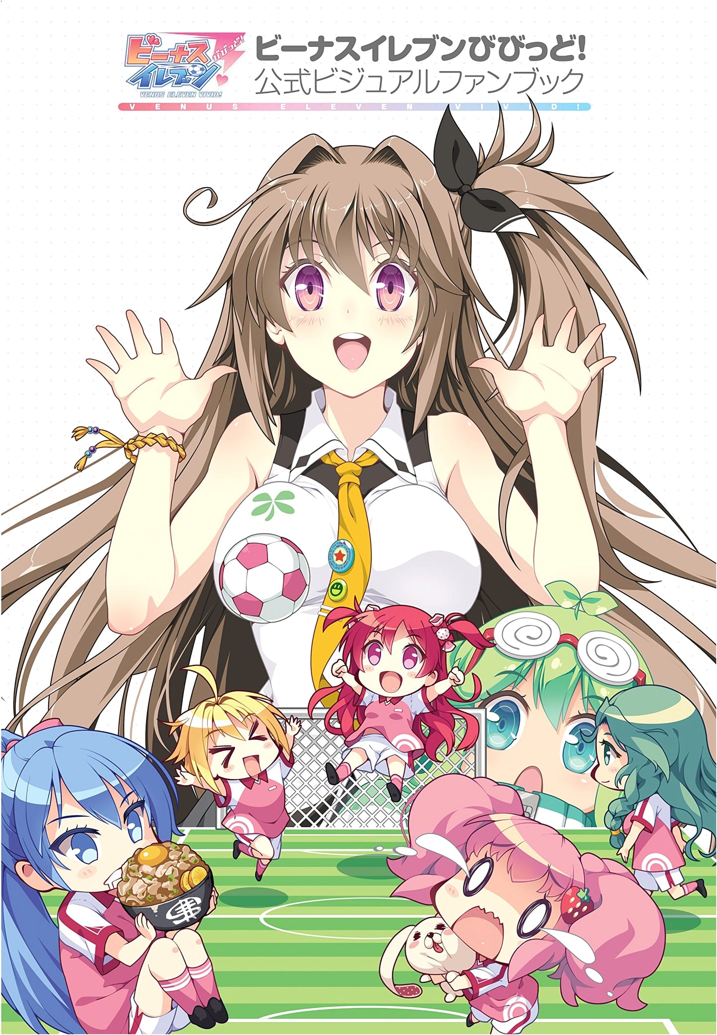 Venus Eleven Vivid! Official Visual Fan Book Art Collection by Amazing