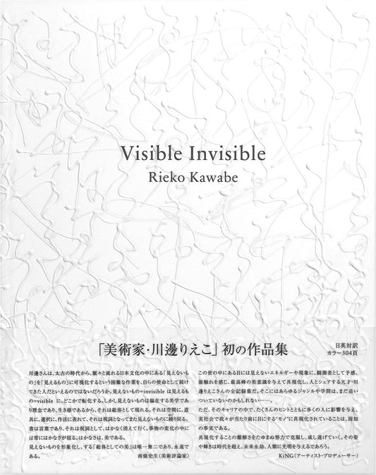 Visible Invisible