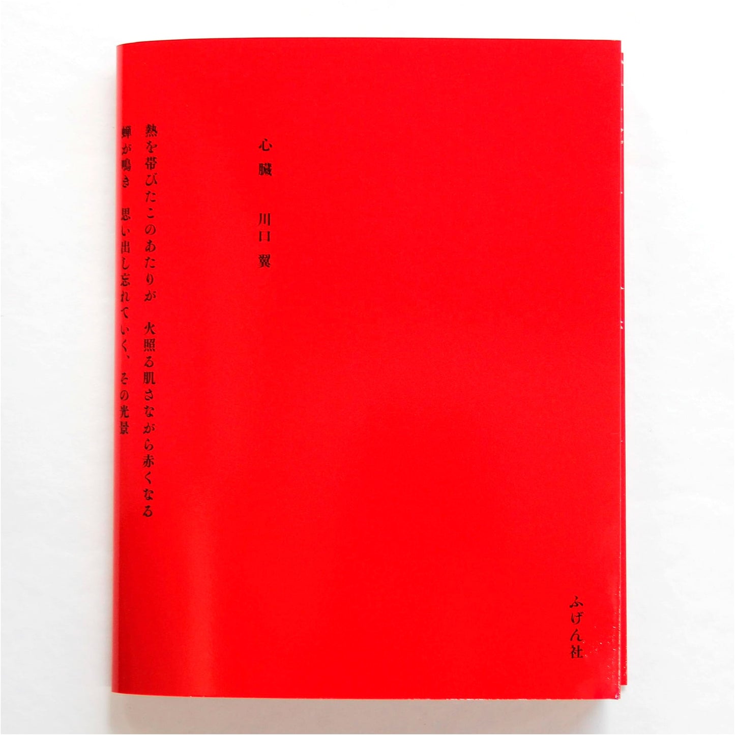 Heart by Tsubasa Kawaguchi: A Photographic Exploration