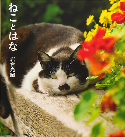 Iwago's Book 4: Cats and Flowers