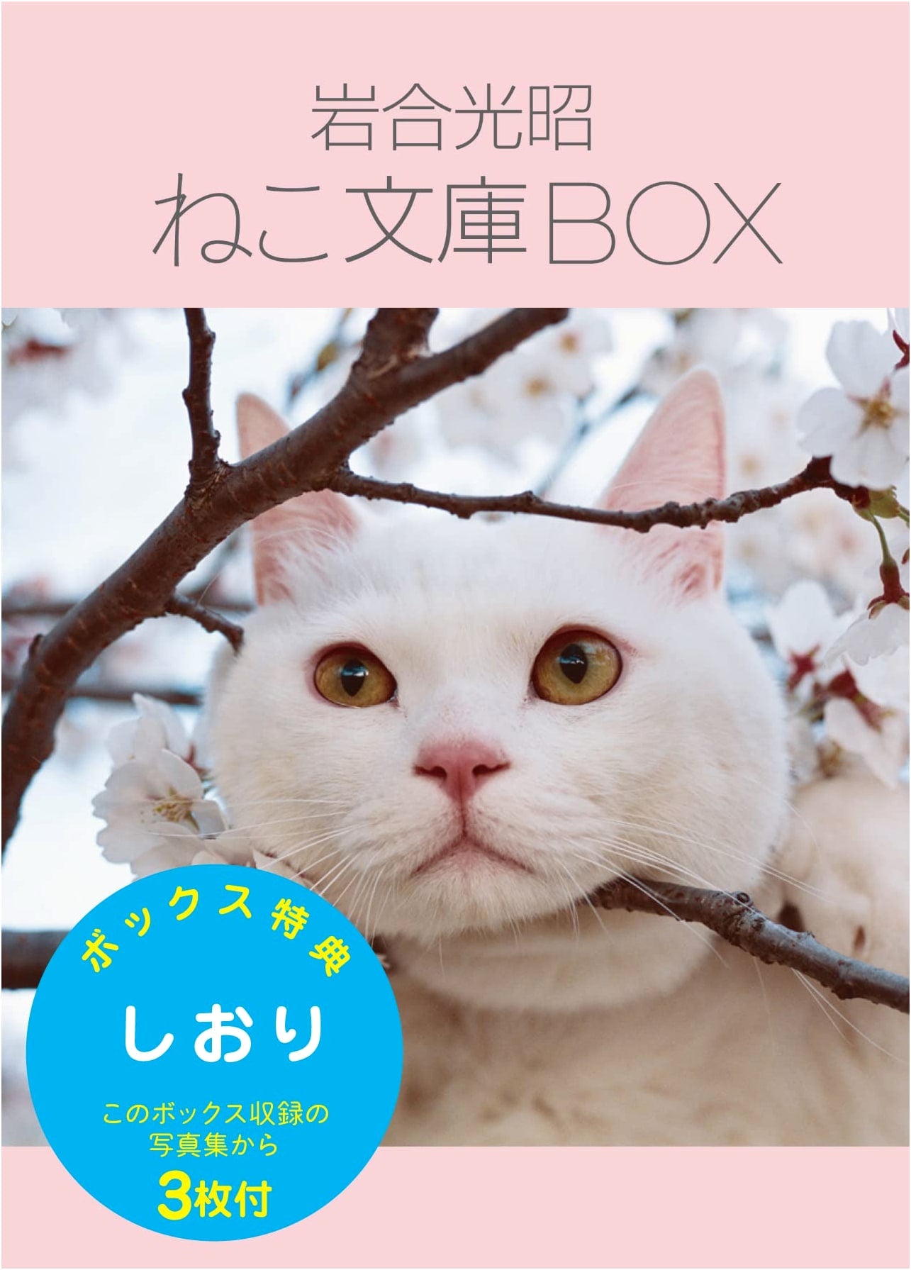 Cats by Mitsuaki Iwago: Special Collection