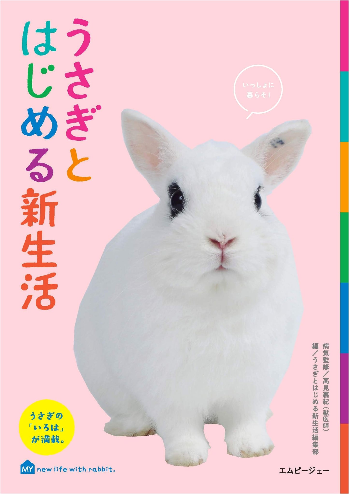 Starting a New Life with a Rabbit