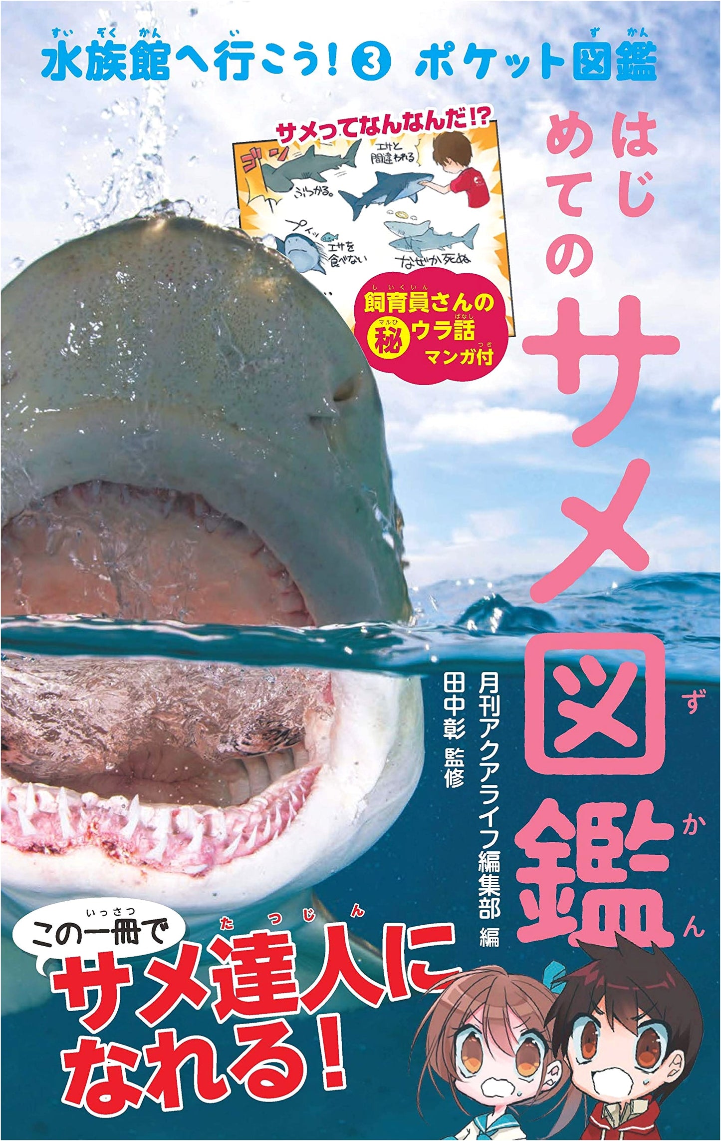 First Shark Picture Book (Let's Go to the Aquarium!)