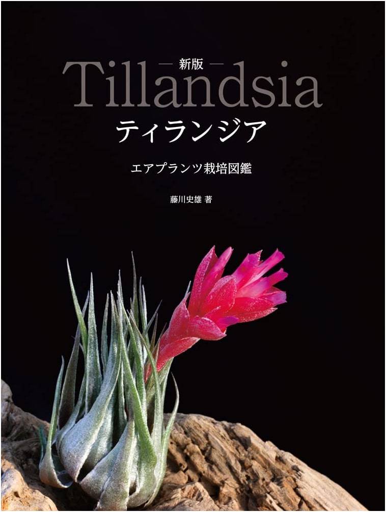 New Edition: Tillandsia & Air Plants Cultivation Guidebook