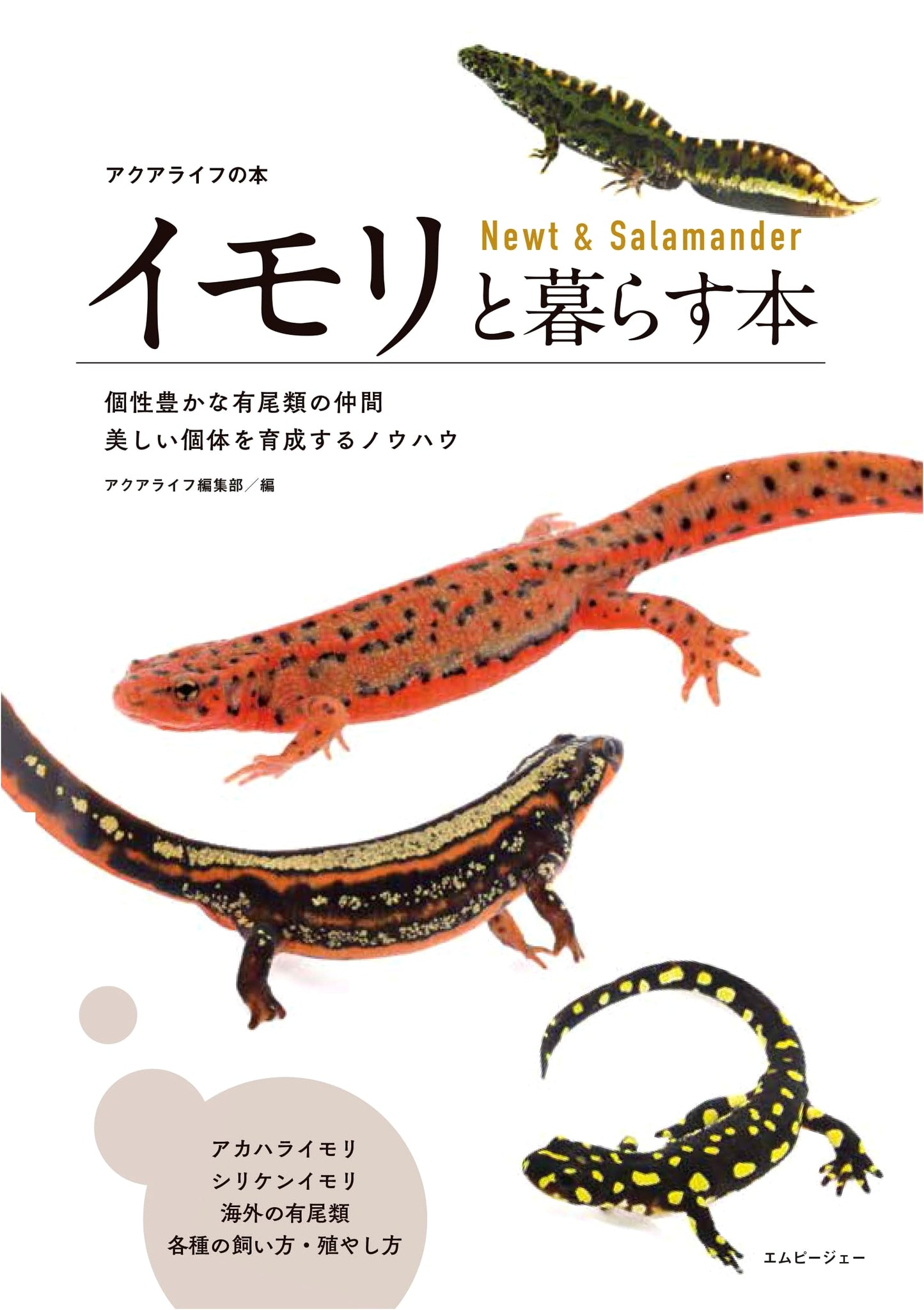 Living with Newts & Salamanders (Aqua Life Books)