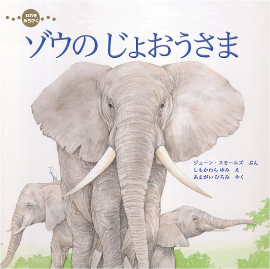 The Elephant Queen Who Leads the Herd (Imagination Unlimited)