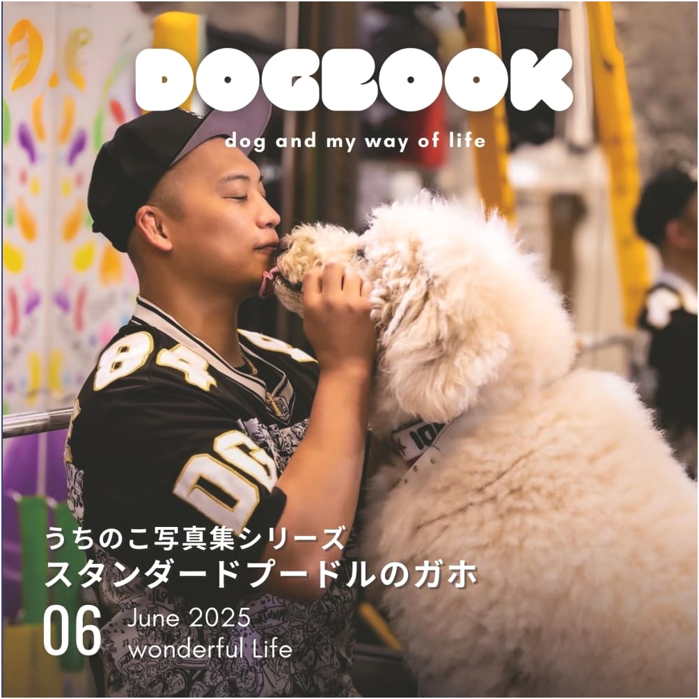 Gaho the Standard Poodle: My Pet Photo Album Series