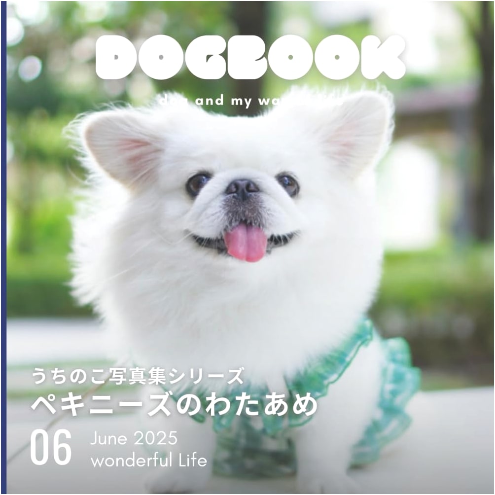 Pekingese Cotton Candy: A Pet Photo Collection by Watame