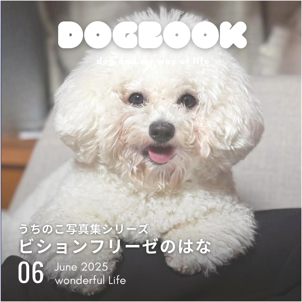 Hanako the Bichon Frise: A Personal Photo Collection by Kanami Jitsukawa
