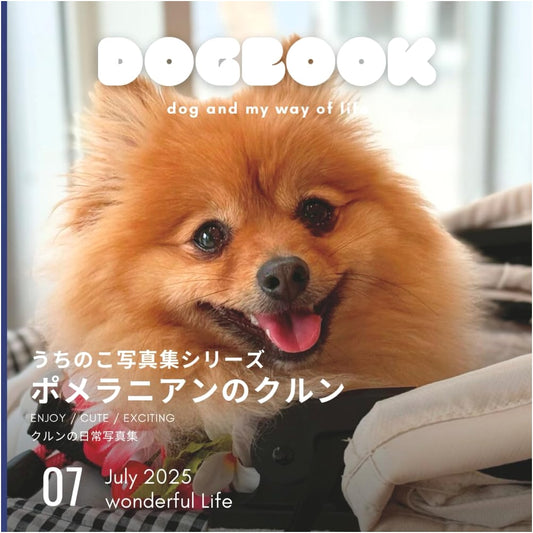 Kurun the Pomeranian: Our Family Photo Album