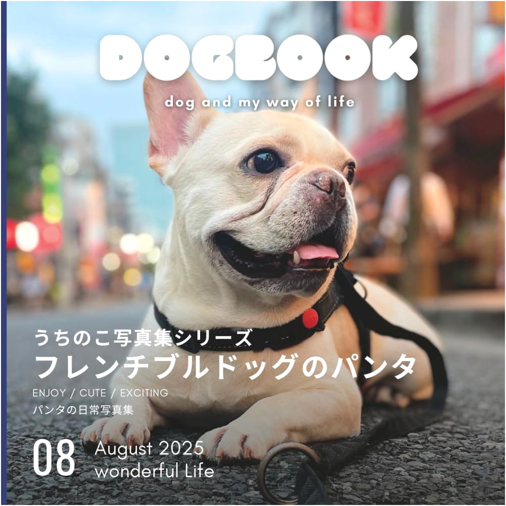 Panta the French Bulldog: Our Family Photo Album by Baba Family