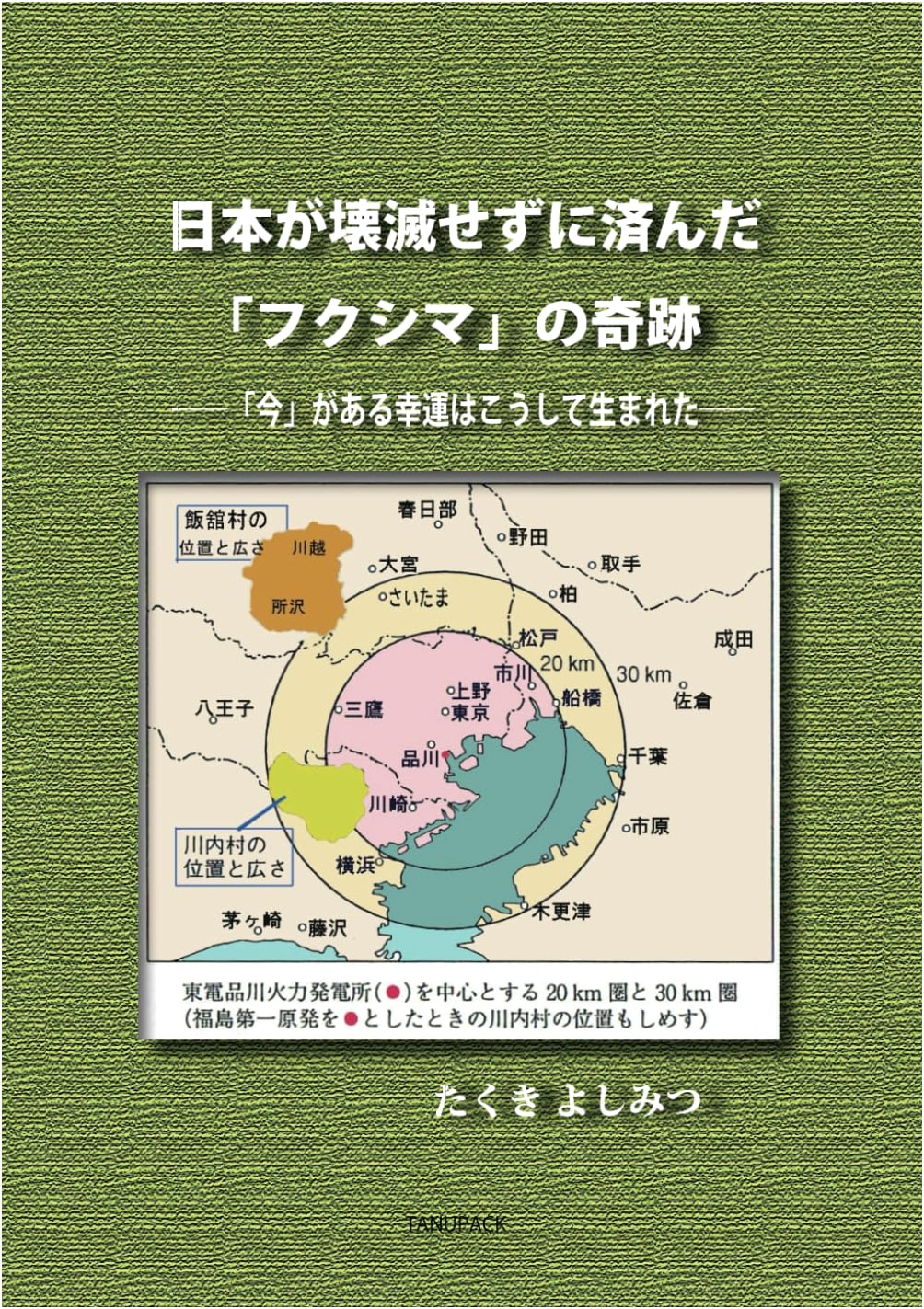 Fukushima's Miracle: How Japan Avoided Devastation and Found Today's Fortune