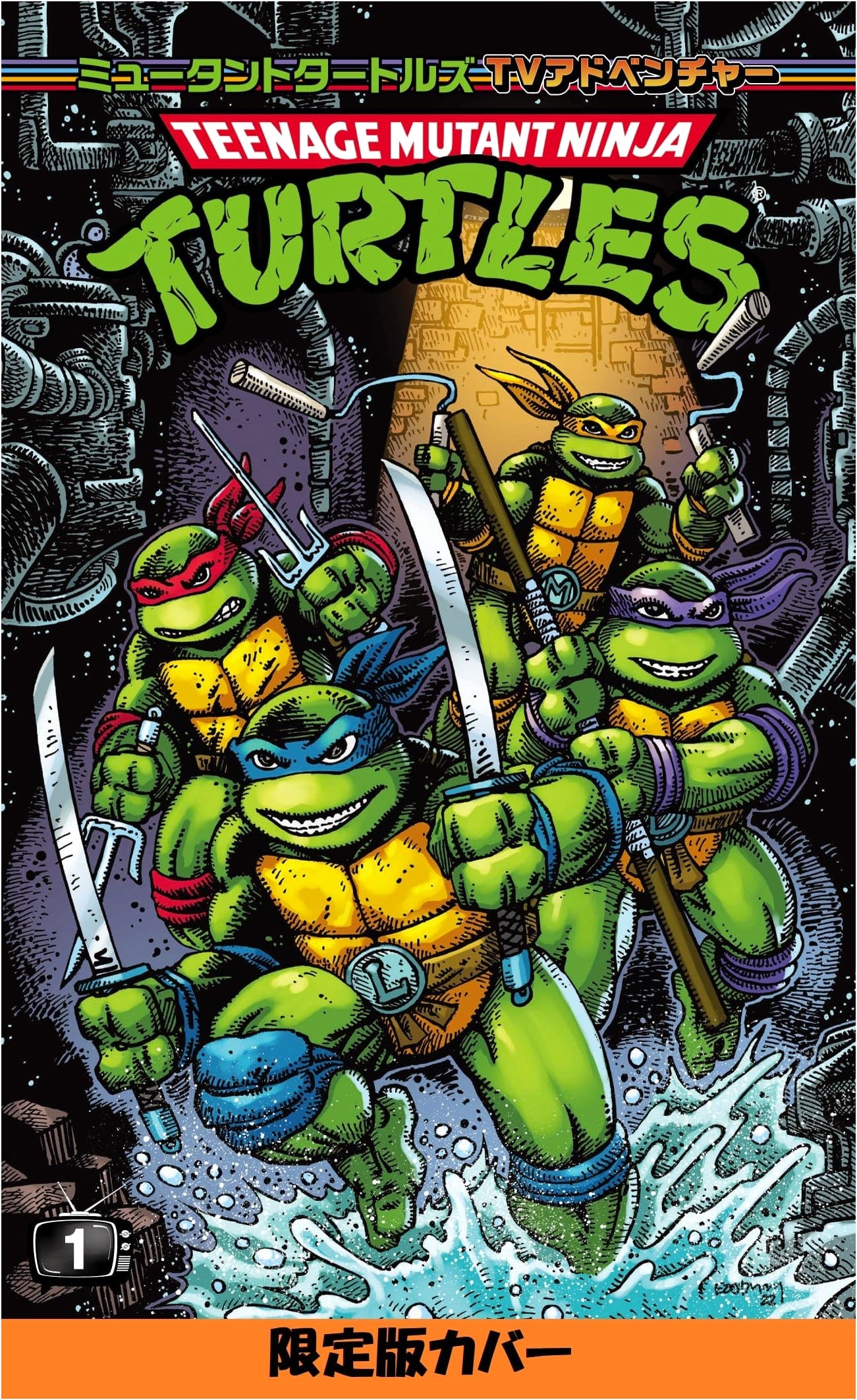 Teenage Mutant Ninja Turtles: TV Adventures Limited Cover Edition by Eric Burnham