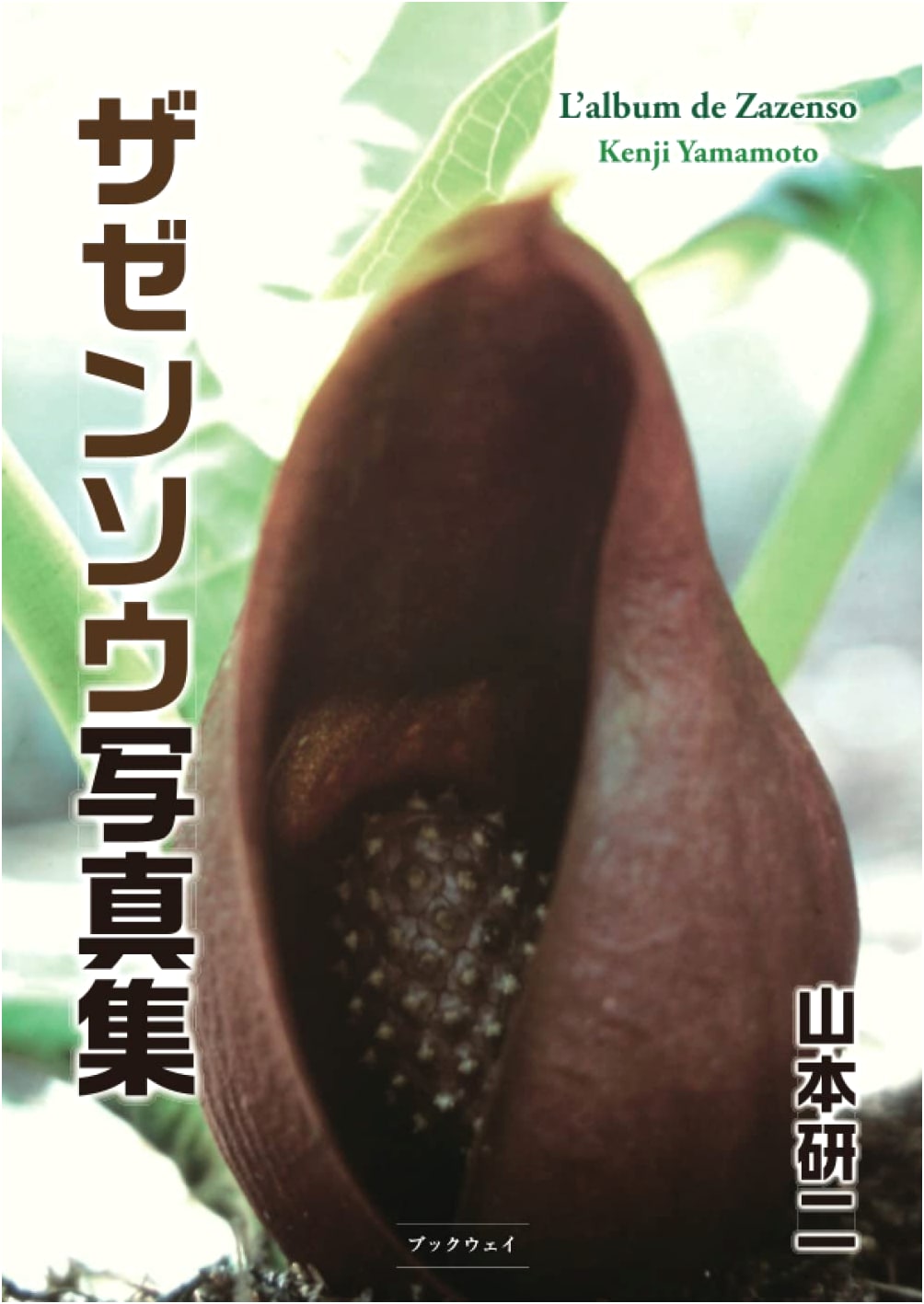 Skunk Cabbage Photo Album: L'album de Zazenso