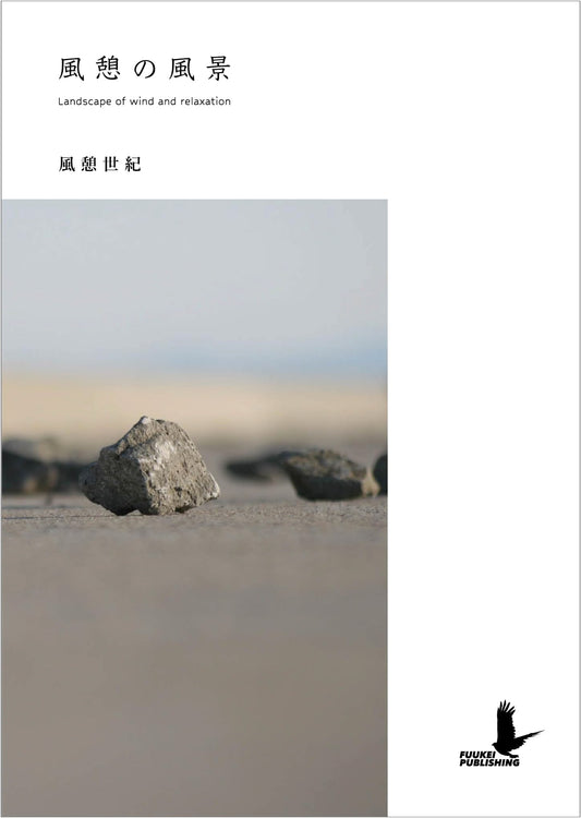 Landscape of Wind and Relaxation