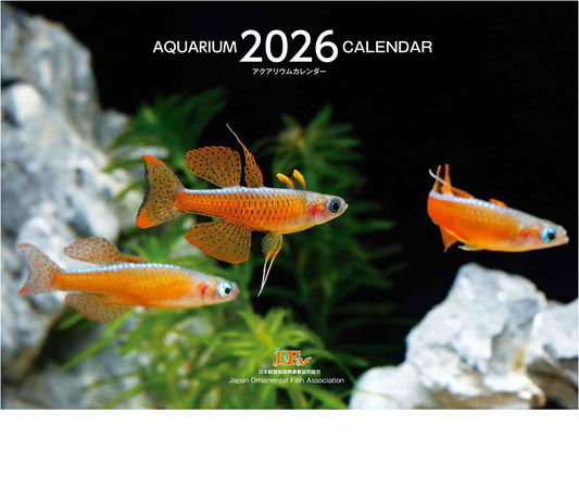 Aquarium Calendar 2026 (Monthly Wall Calendar)