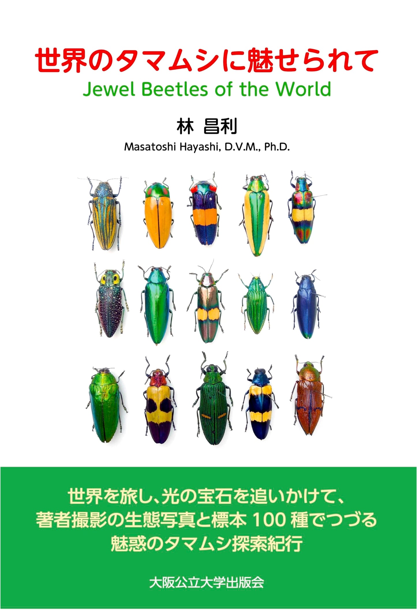 Captivated by the Jewel Beetles of the World