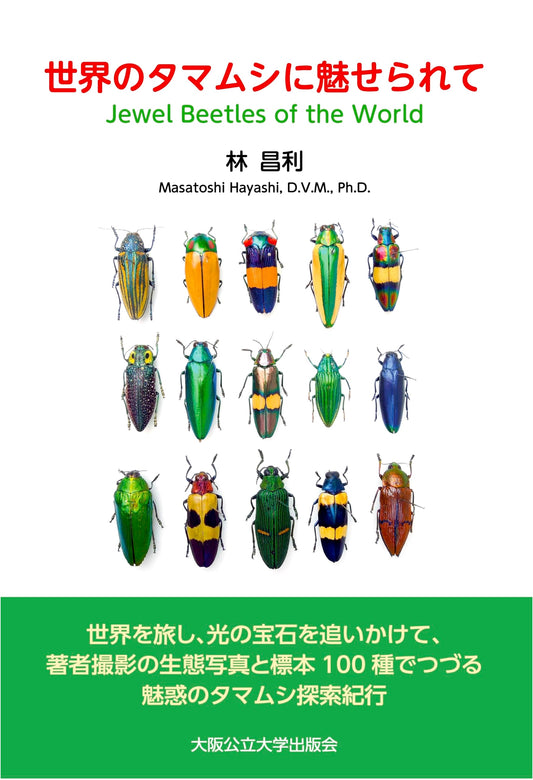 Captivated by the Jewel Beetles of the World