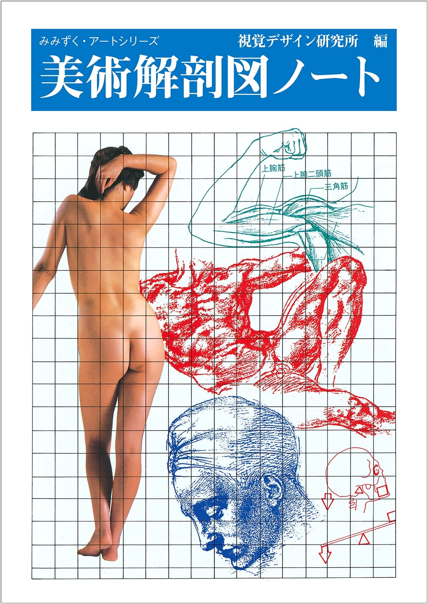 Artistic Anatomy Sketchbook: Owl Art Series (Mimizuku Art Series)