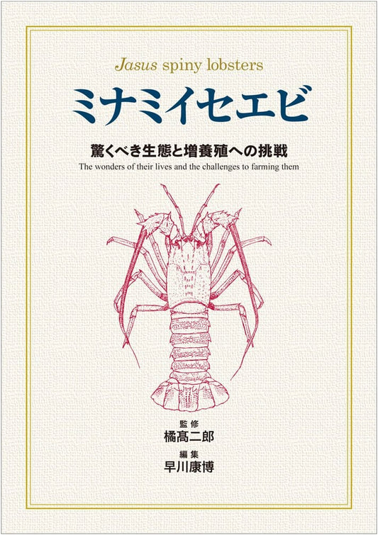 Southern Japanese Spiny Lobster: Amazing Ecology and Challenges in Aquaculture