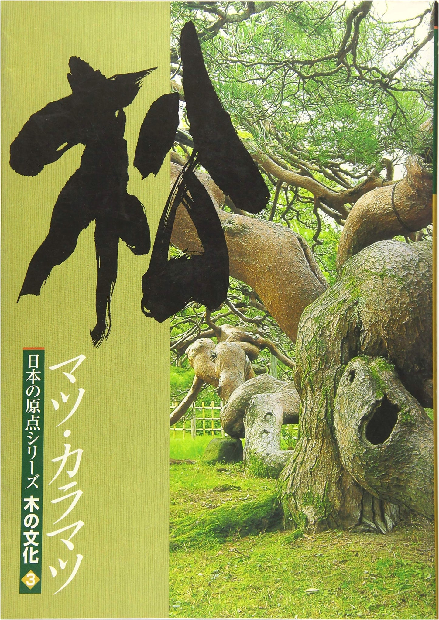 Pine, Larch: The Culture of Trees (Japan's Origin Series Tree Culture, Vol. 3)