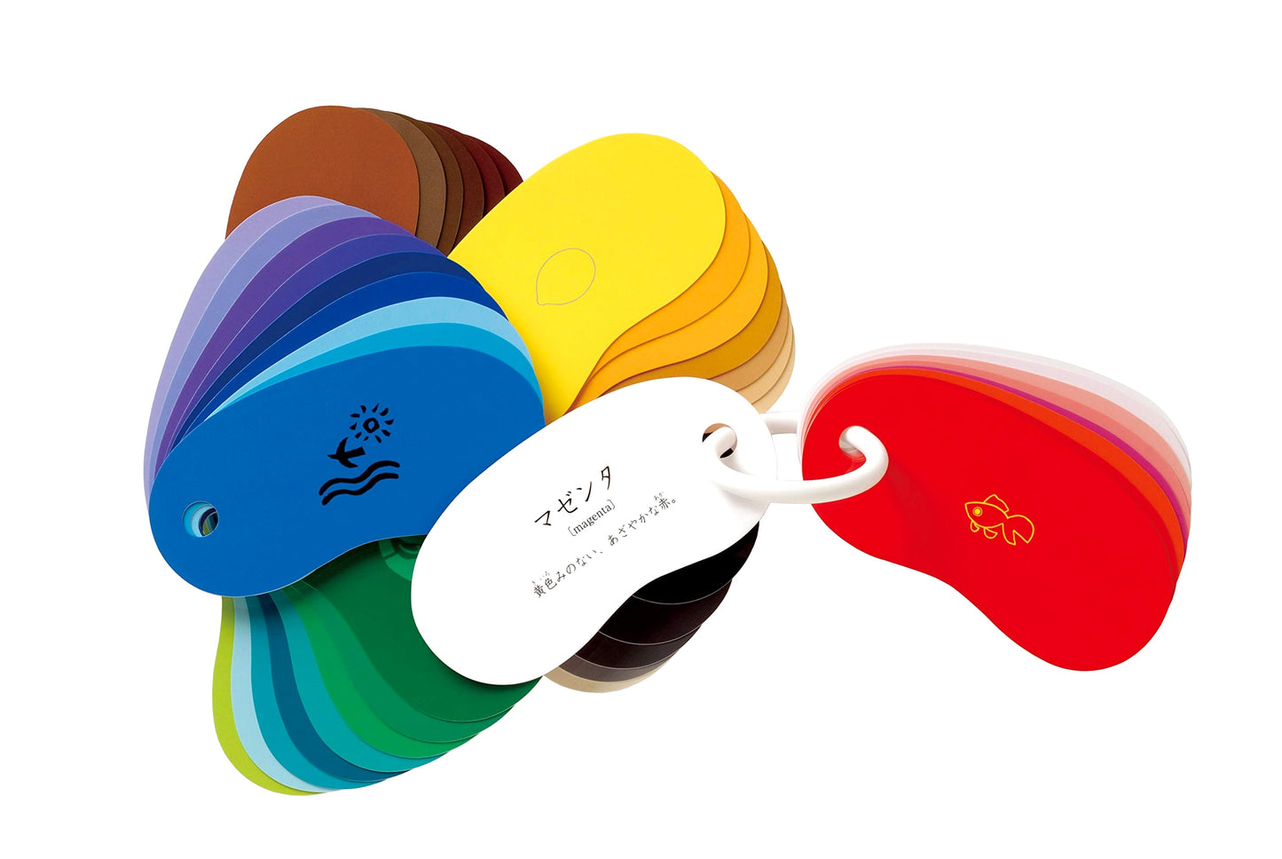 Ring Cards: Colors (Ring Card Series)