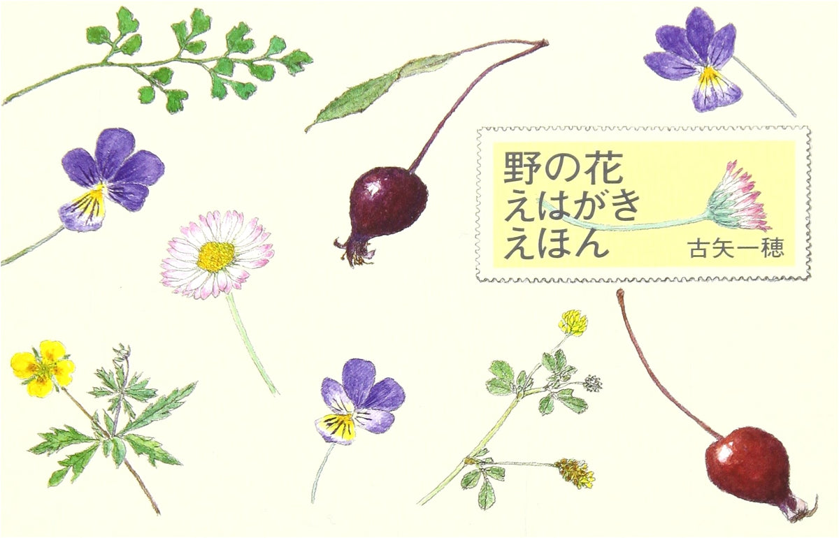 Wildflowers Postcard Picture Book