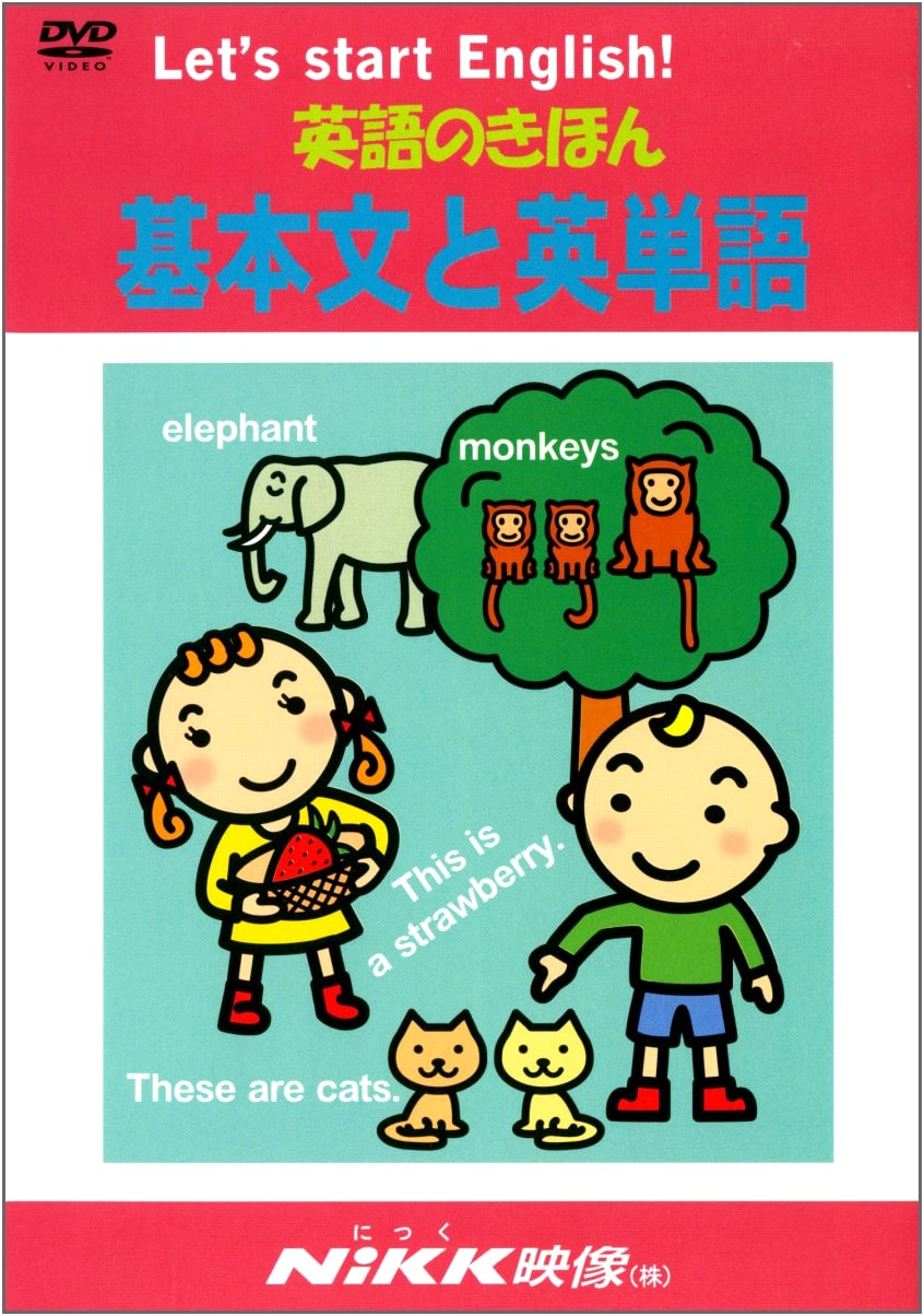 English Fundamentals: Basic Sentences & Vocabulary (with DVD Video)