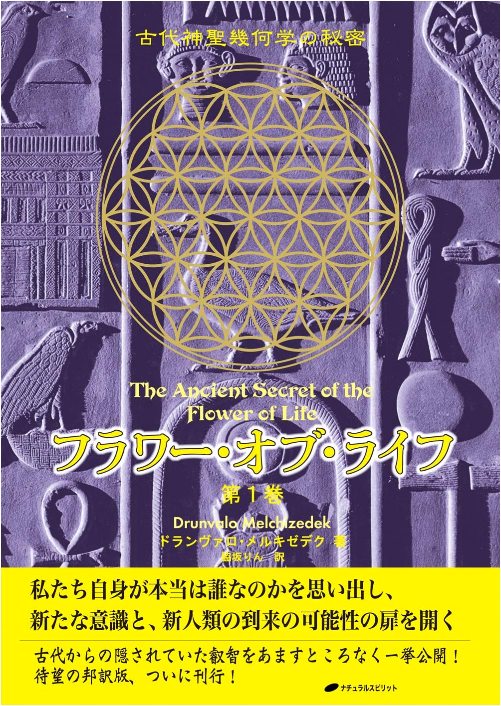 Flower of Life: Secrets of Ancient Sacred Geometry (Volume 1)