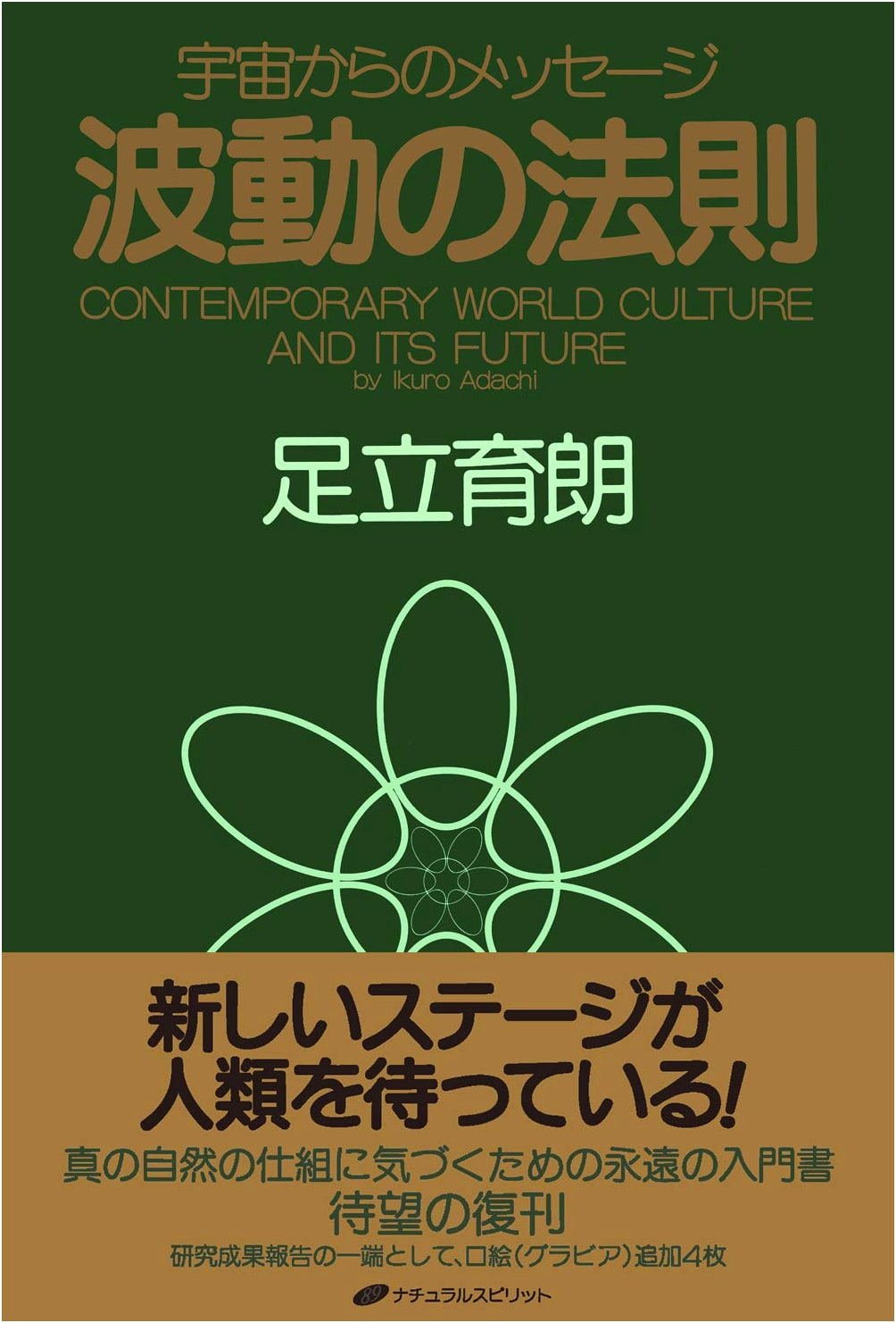 The Law of Vibration: Messages from the Universe by Ikuro Adachi
