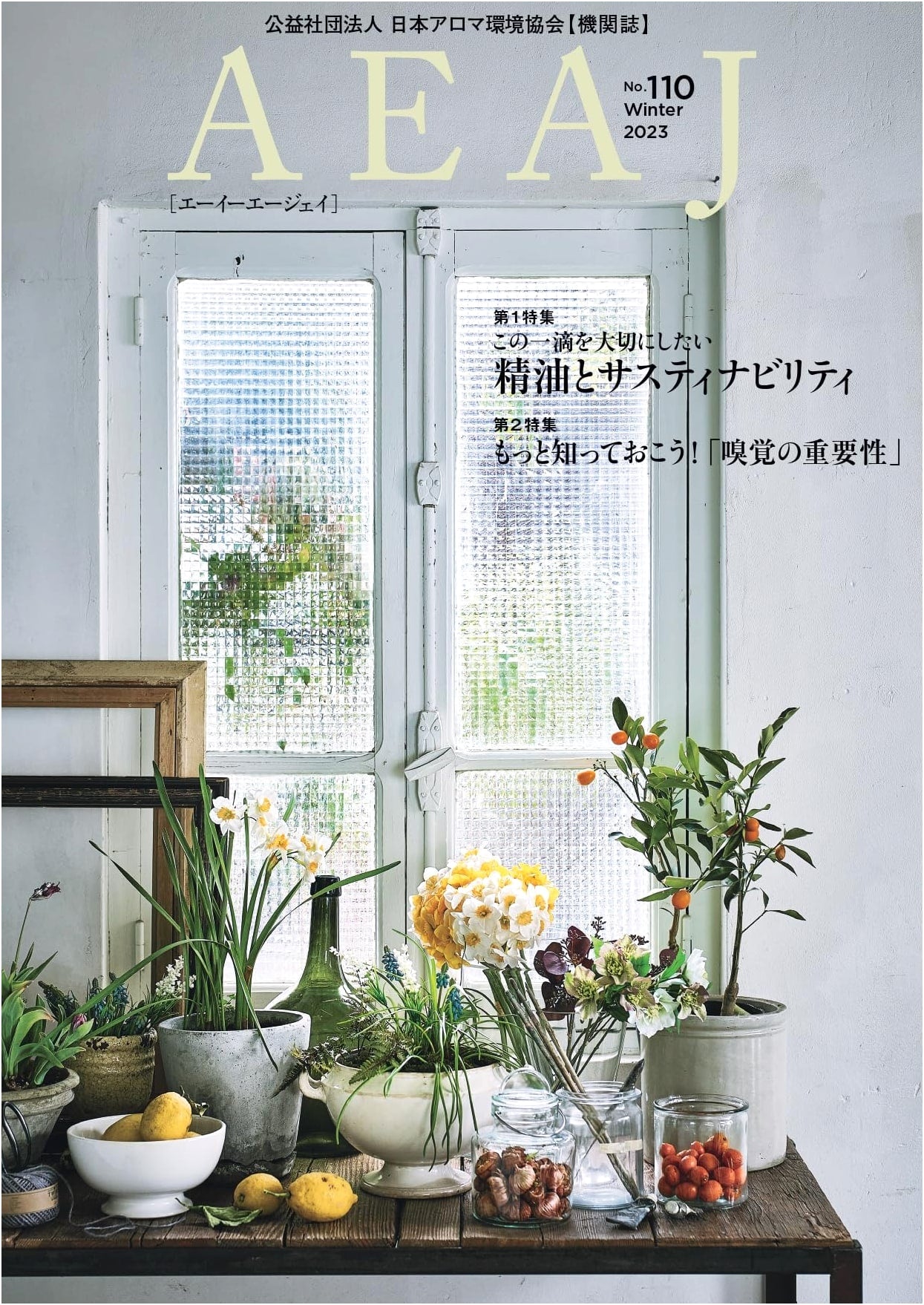 AEAJ Magazine 2023: Issue No. 110