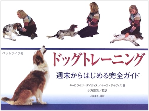 Dog Training: A Complete Guide Starting from the Weekend