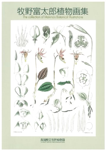 Tomitaro Makino Botanical Art Collection