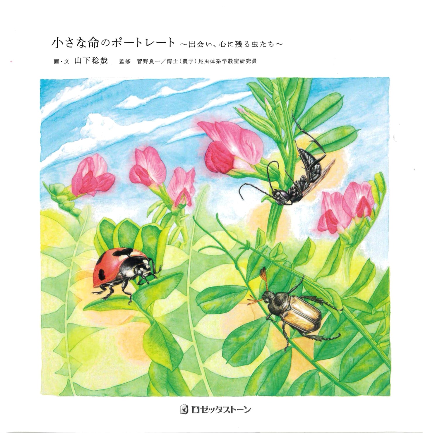 A Portrait of Small Lives by Toshiya Yamashita
