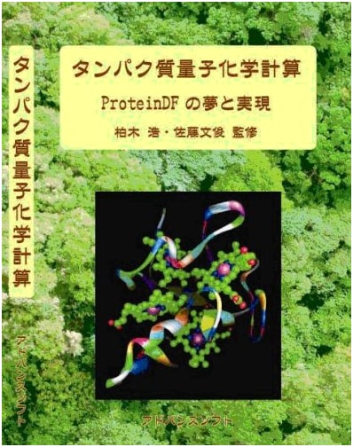 Protein Quantum Chemistry Calculations