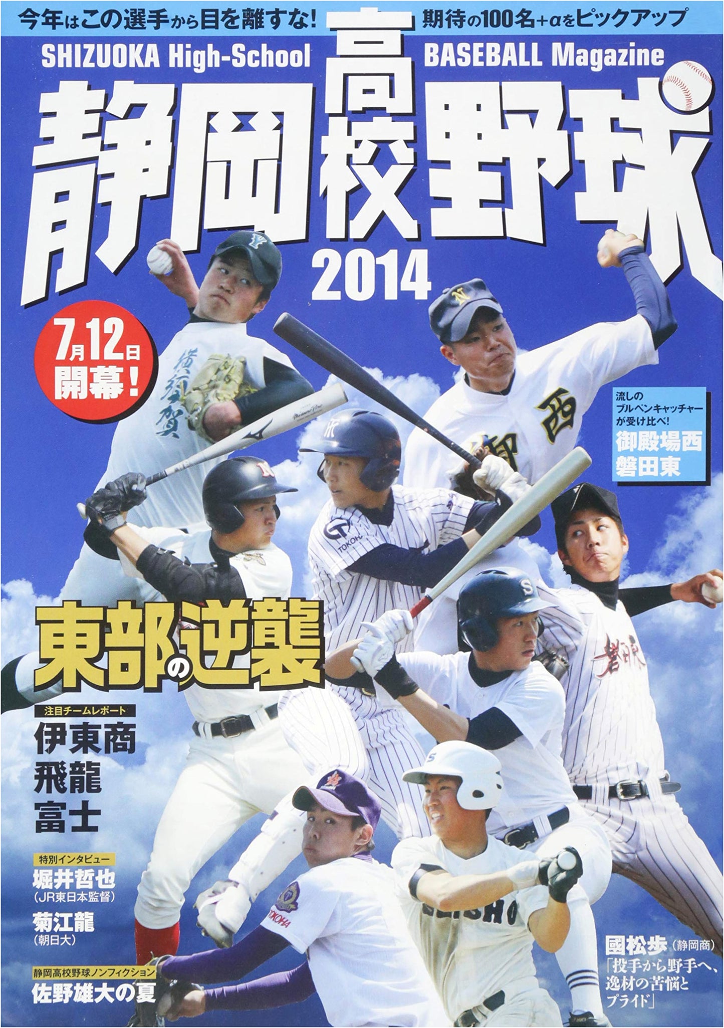 Shizuoka High School Baseball 2014