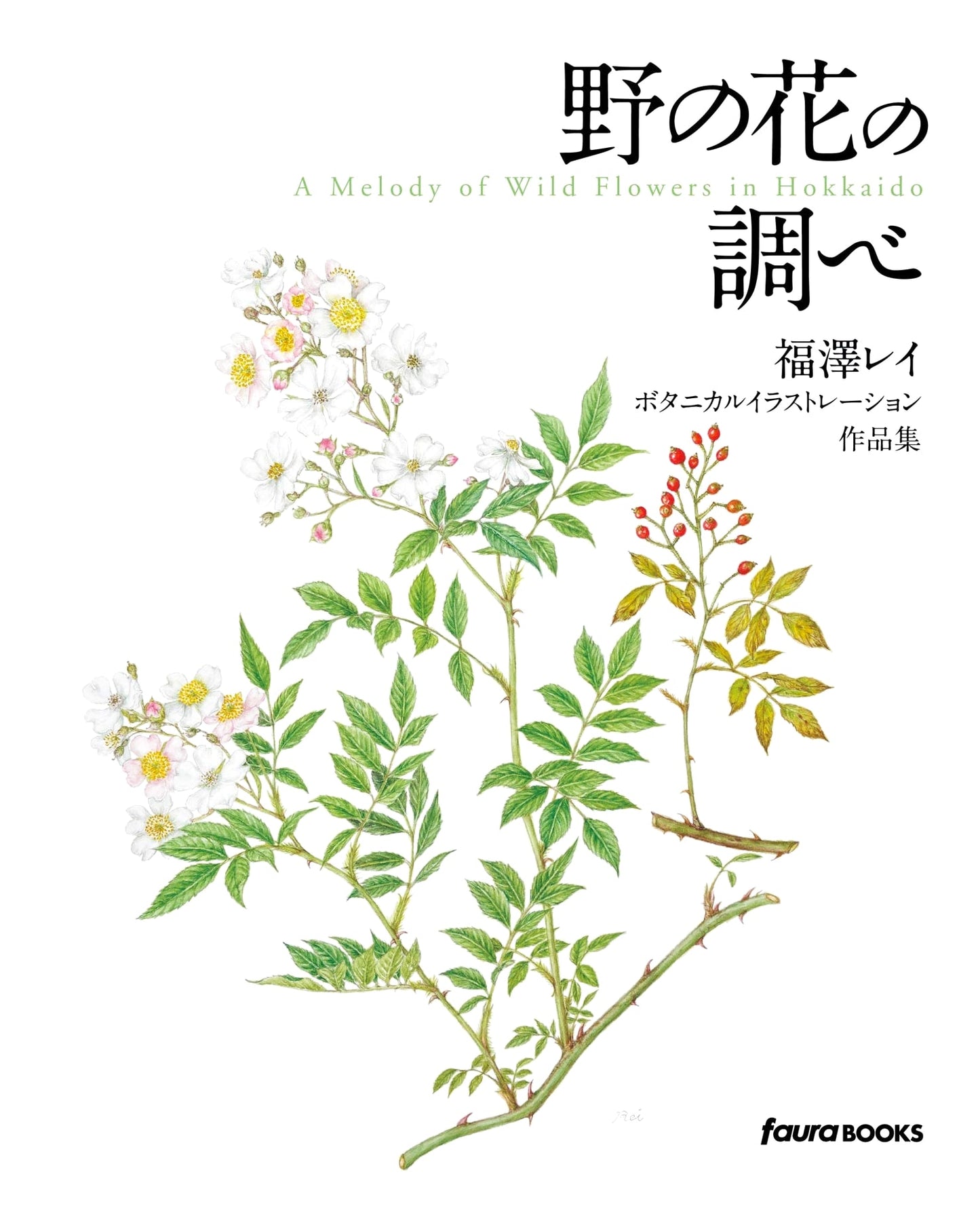 Fukuzawa Rei: Botanical Illustration Artbook - Melodies of Wildflowers