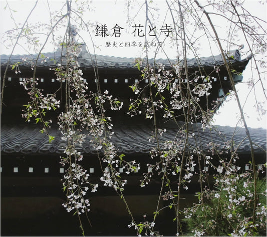 Kamakura: Flowers, Temples, and Seasons of History