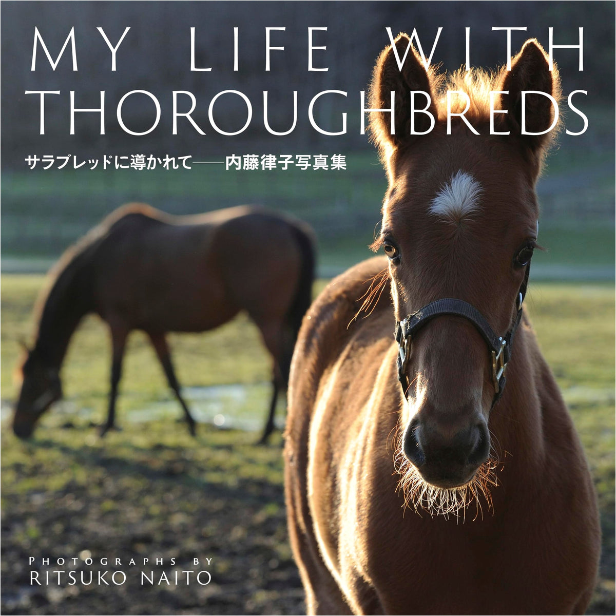 Led by Thoroughbreds: Ritsuko Naito Photography Collection