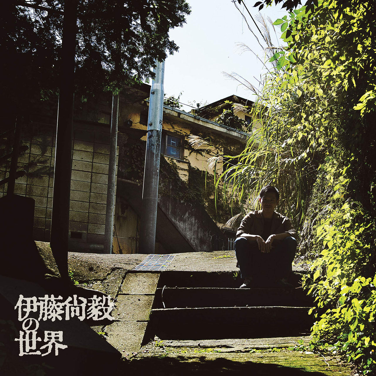 伊藤尚毅の世界
